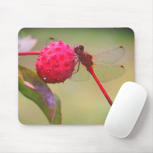 Rote Dragonfly-Natur Mousepad (Mit Mouse)
