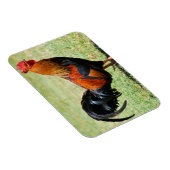 Rote Dschungelvögel Kauai Hawaii Magnet (Rechte Seite)