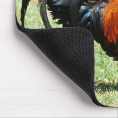 Rote Dschungelvögel Kauai Hawaii Mousepad (Ecke)