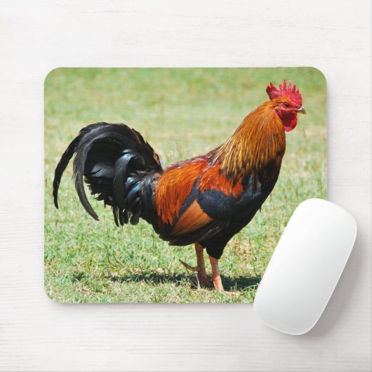Rote Dschungelvögel Kauai Hawaii Mousepad (Mit Mouse)