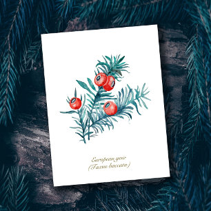 Rote Eibenbeeren Aquarell-Kunstwerk Postkarte