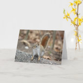 Rote Eichhörnchen-Grußkarte Karte (Gelbe Blume)