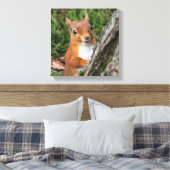 Rote Eichhörnchen Leinwanddruck (Insitu (Schlafzimmer))