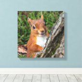 Rote Eichhörnchen Leinwanddruck (Insitu (Holzboden))