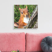 Rote Eichhörnchen Leinwanddruck (Insitu (Wohnzimmer))