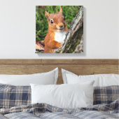 Rote Eichhörnchen Leinwanddruck (Insitu (Schlafzimmer))