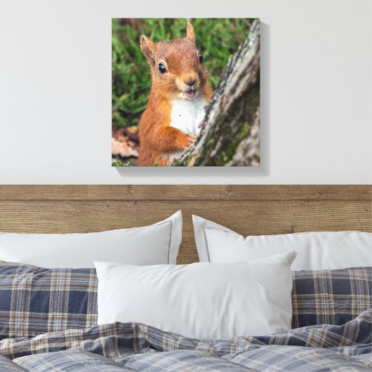Rote Eichhörnchen Leinwanddruck (Insitu (Schlafzimmer))