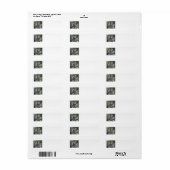 Rote Eichhörnchen-Rücksendeadressen-Aufkleber (Vorne)