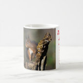Rote Eichhörnchen Taxonomie Tasse (Mittel)