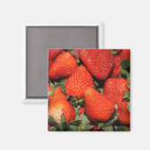 Rote Erdbeerfrüchte Magnet (Vorderseite/Rückseite)