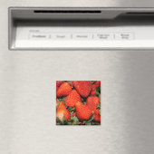 Rote Erdbeerfrüchte Magnet (In Situ (Geschirrspüler))
