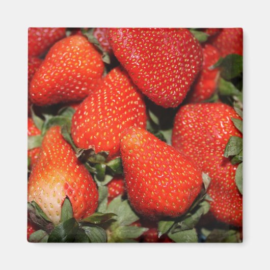Rote Erdbeerfrüchte Magnet (Vorne)