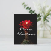 Rote Fackeldistelblüte, Frohe Weihnachten (Stehend Vorderseite)