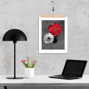 Rote Farbexplosion Gerber-Daisy-Fotografie Poster