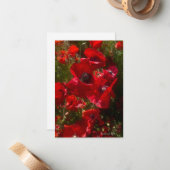 Rote Feldpopulationen Mitteilungskarte (Vorderseite/Rückseite Beispiel)