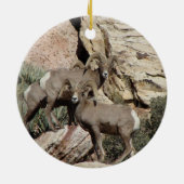 Rote Felsen-Big Horn-Schafe Keramikornament (Hinten)