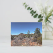 Rote Felsen Hügel Wüstenlandschaft Postkarte (Stehend Vorderseite)