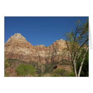 Rote Felsen im Zion National Park Fotografie