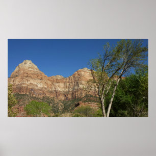 Rote Felsen im Zion National Park Fotografie Poster