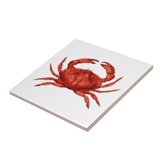 Rote Felsen-Krabbe (pazifisch) Fliese (Seite)