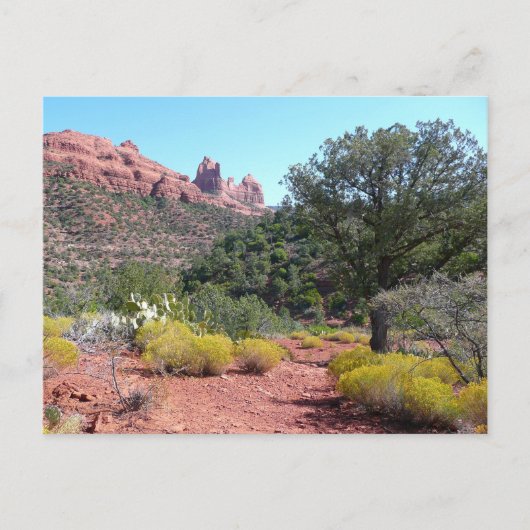 Rote Felsen und Cacti II in Sedona Arizona Postkarte (Vorderseite)