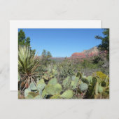 Rote Felsen und Kakteen I (Vorne/Hinten)