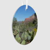 Rote Felsen und Kakteen I Ornament (Vorderseite)