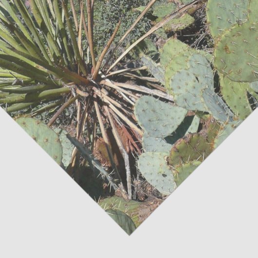 Rote Felsen und Kakteen I Seidenpapier (Detail)