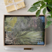 Rote Felsen und Kakteen I Seidenpapier (Geschenk)