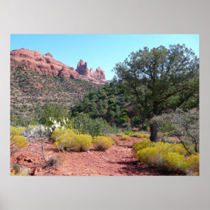 Rote Felsen und Kakteen II in Sedona Arizona Poster