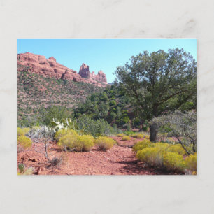 Rote Felsen und Kakteen II in Sedona Arizona Postkarte