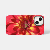 Rote Feuer-Dahlie-Blume iPhone Hülle (Rückseite (Horizontal))
