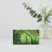 Rote Fichte-Sprösslinge Visitenkarte (Stehend Vorderseite)