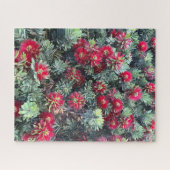 Rote Flaschenbürste, Chino Hills Puzzle (Horizontal)