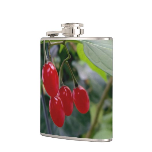 rote Flecken im Herbst Flachmann (Links)