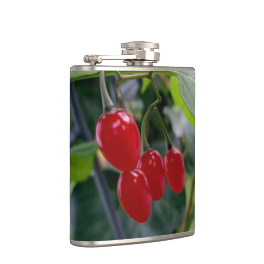 rote Flecken im Herbst Flachmann (Rechts)