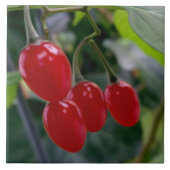 rote Flecken im Herbst Fliese (Vorderseite)