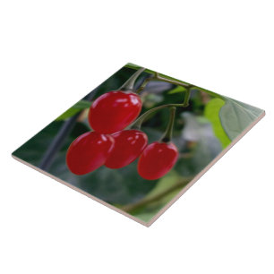 rote Flecken im Herbst Fliese