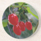 rote Flecken im Herbst Getränkeuntersetzer (Vorne)