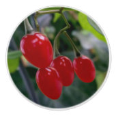 rote Flecken im Herbst Keramikknauf (Vorderseite)