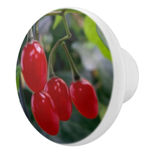 rote Flecken im Herbst Keramikknauf (Rechts)