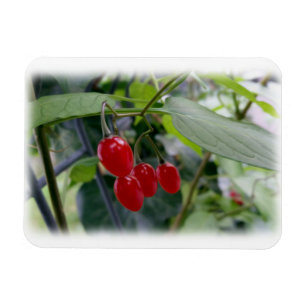 rote Flecken im Herbst Magnet