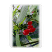 rote Flecken im Herbst Magnet (Vertikal)