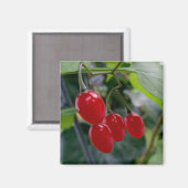 rote Flecken im Herbst Magnet (Vorderseite/Rückseite)