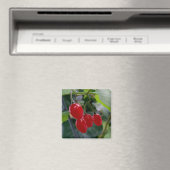 rote Flecken im Herbst Magnet (In Situ (Geschirrspüler))