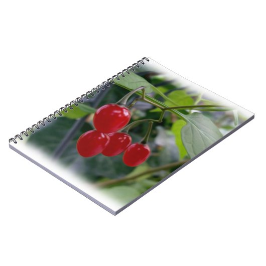 rote Flecken im Herbst Notizblock (Linke Seite)