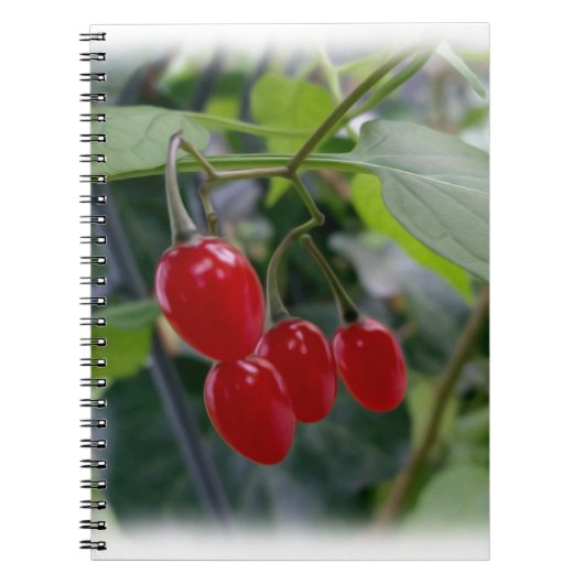 rote Flecken im Herbst Notizblock (Vorderseite)