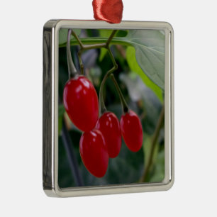 rote Flecken im Herbst Ornament Aus Metall