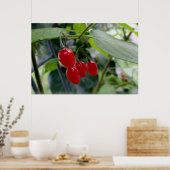 rote Flecken im Herbst Poster (Küche)