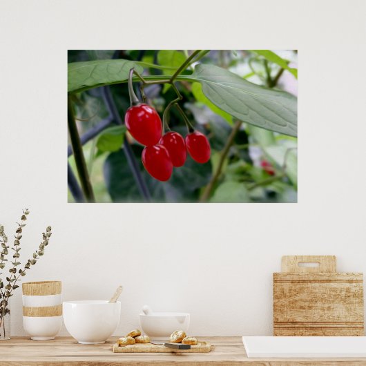 rote Flecken im Herbst Poster (Küche)